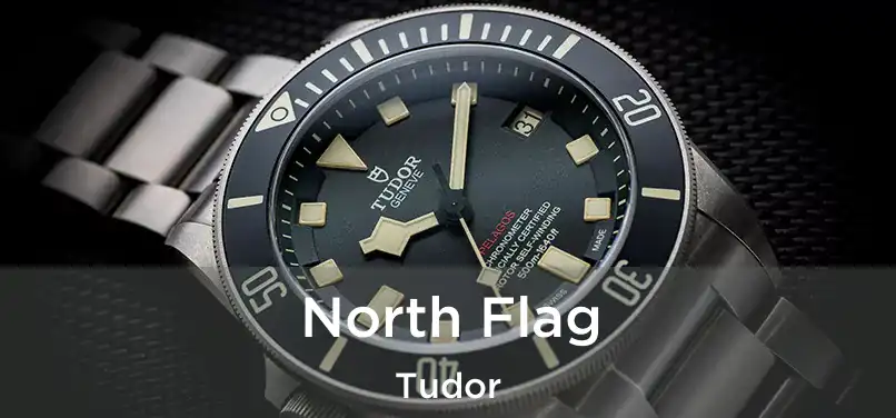  North Flag Tudor