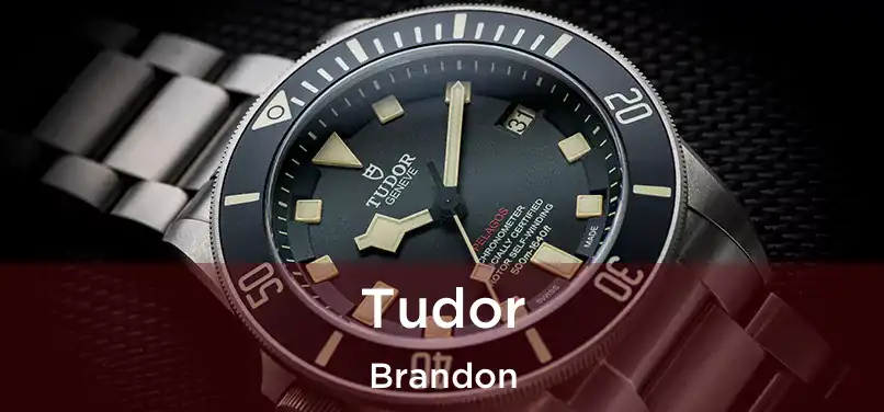  Tudor Brandon