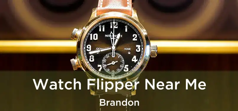  Watch Flipper Near Me Brandon